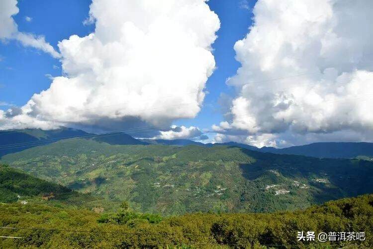 千家寨山高路远，好茶总是藏不住的