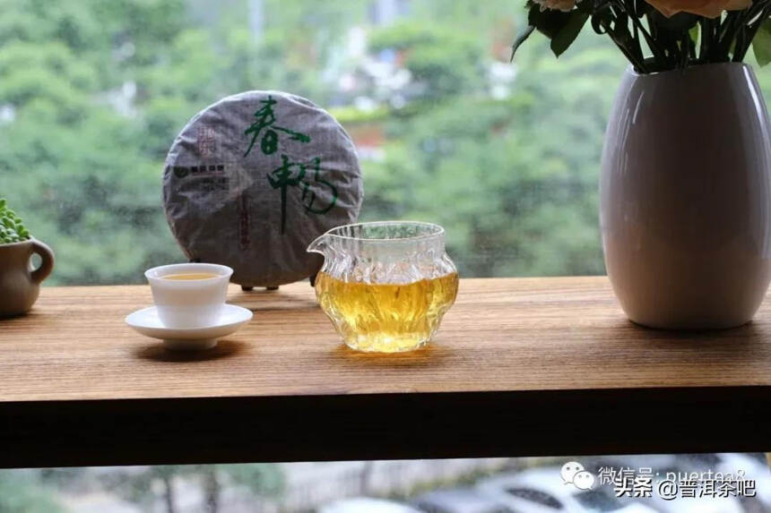 「干货分享」临沧邦东古树茶特点