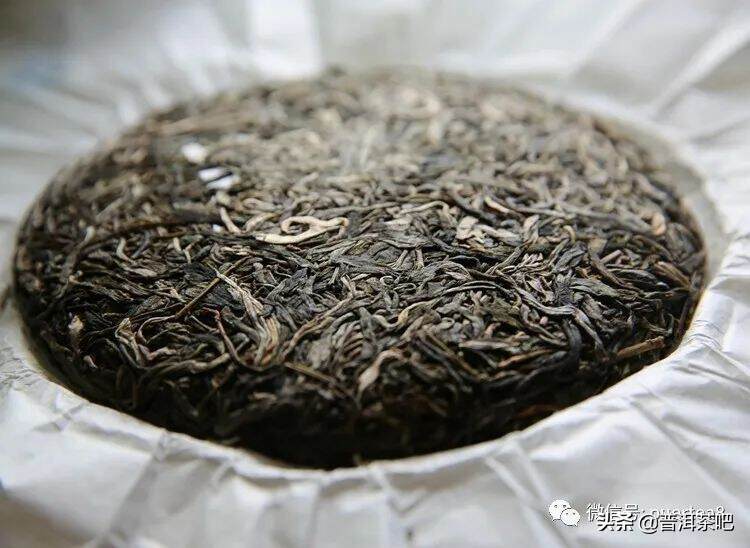 用分类法教你看懂普洱茶