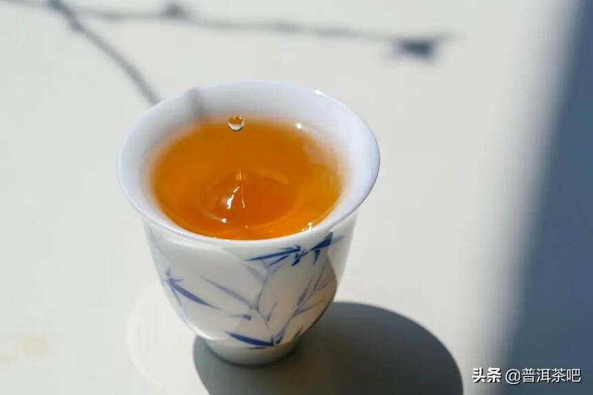 「干货分享」影响普洱茶品质的四大自然因素