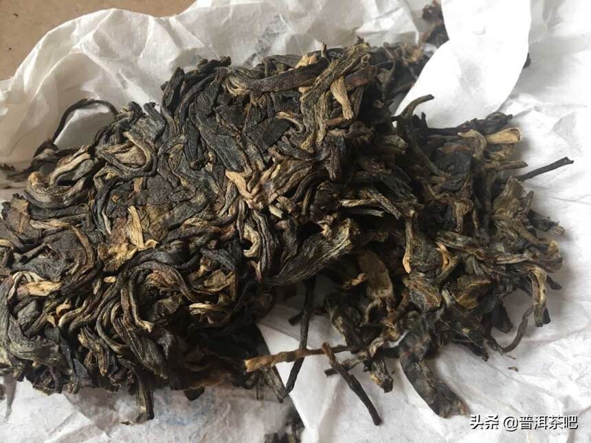 冲泡生茶、老茶、熟茶、散茶各不相同