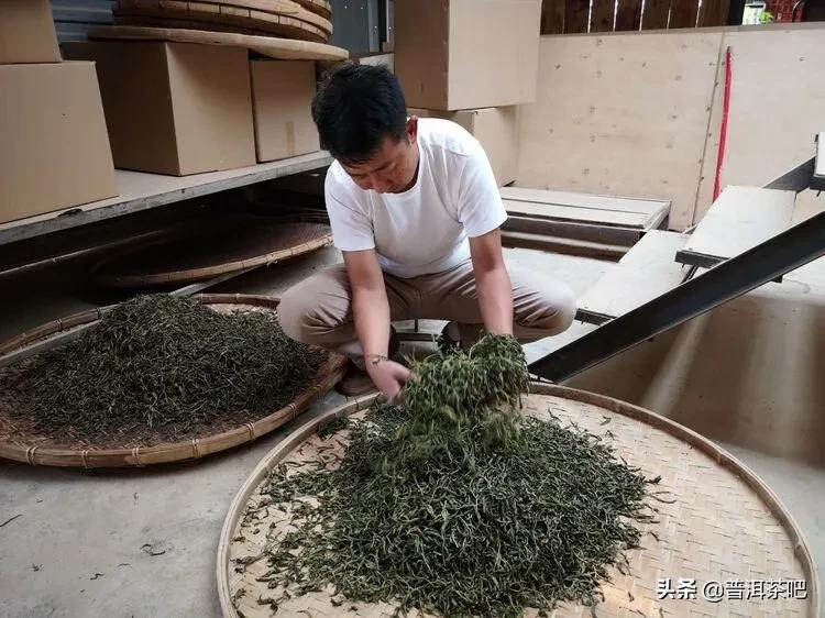 「干货分享」西双版纳普洱茶茶山行