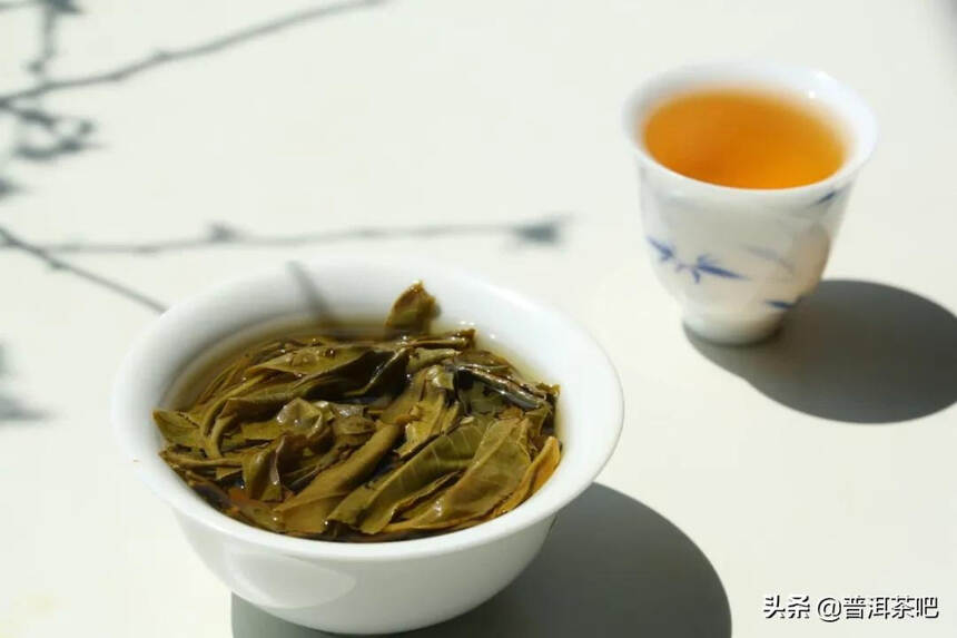 「干货分享」影响普洱茶品质的四大自然因素