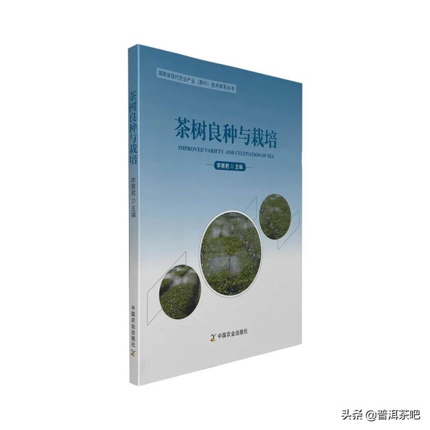 普洱茶书《普洱黄刚说》一本普洱茶致富经，一次被金句击中的阅读