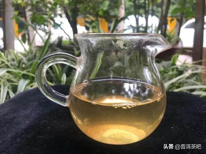 「干货分享」冰岛五寨滋味各不同？地界茶香浓郁，茶味厚重