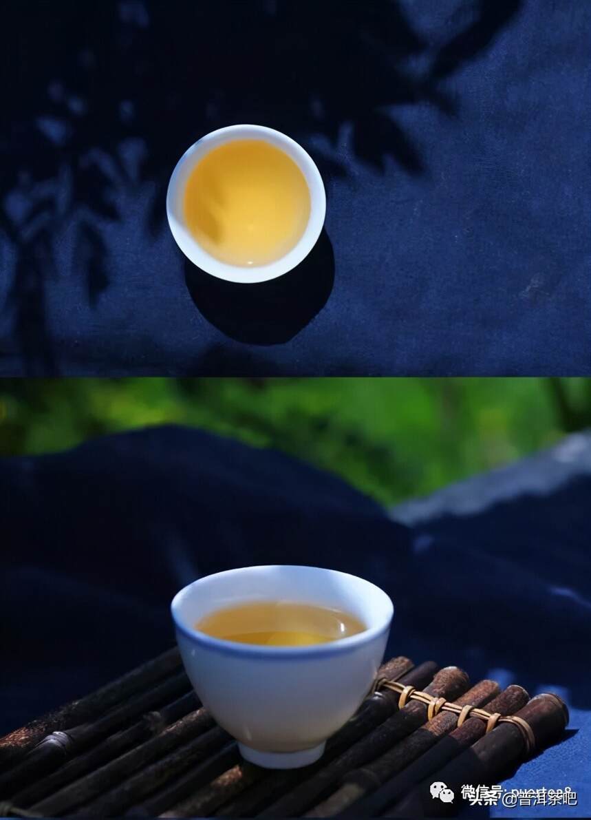 「干货分享」云南六大古茶山游记，还会发光的曼撒古茶山