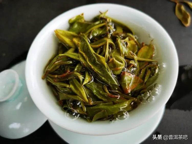 「干货分享」西双版纳普洱茶茶山行