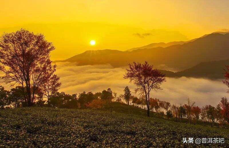 云南大理无量山樱花谷，中国冬天最美的地方，没有之一