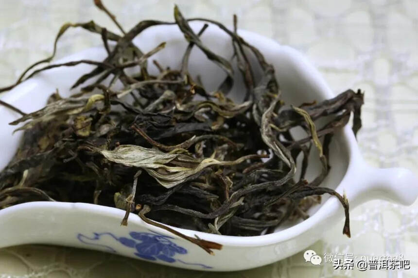 「干货分享」云南六大古茶山游记，还会发光的曼撒古茶山