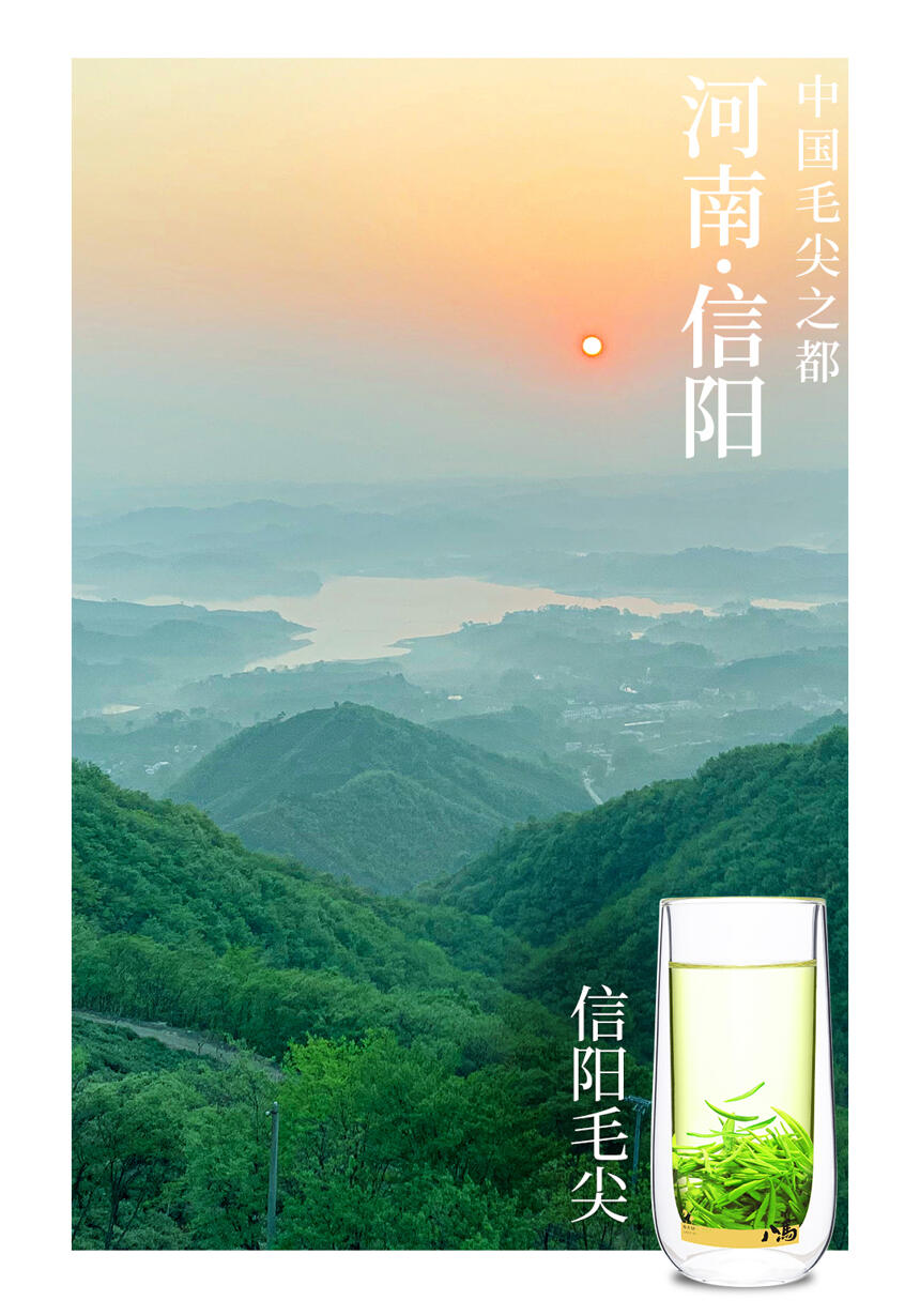 茶的“绰号”，来看看茶界“高富帅”和“白富美”都是谁