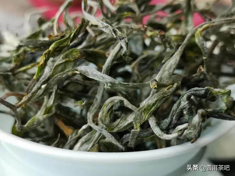 「干货分享」西双版纳普洱茶茶山行