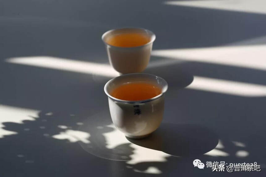 「干货分享」崛起的茶中贵族-临沧赛冰岛小户赛古树茶