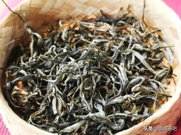 「干货分享」西双版纳普洱茶茶山行