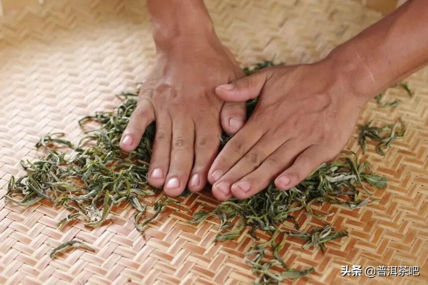 「干货分享」倚邦猫耳朵古树春茶