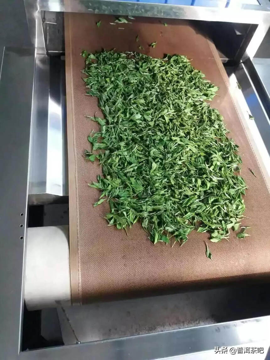 「干货分享」普洱茶加工工艺最重要的一个环节——杀青