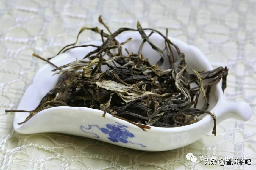 「干货分享」云南六大古茶山游记，还会发光的曼撒古茶山