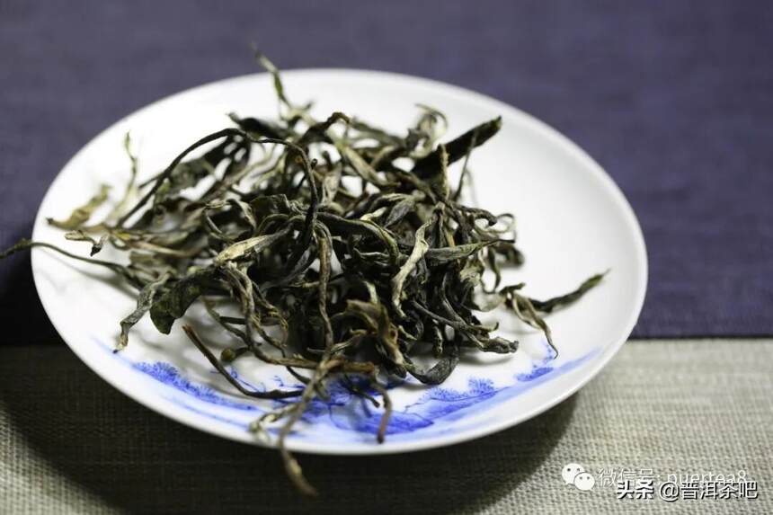 普洱茶苦涩难耐？原因在这里