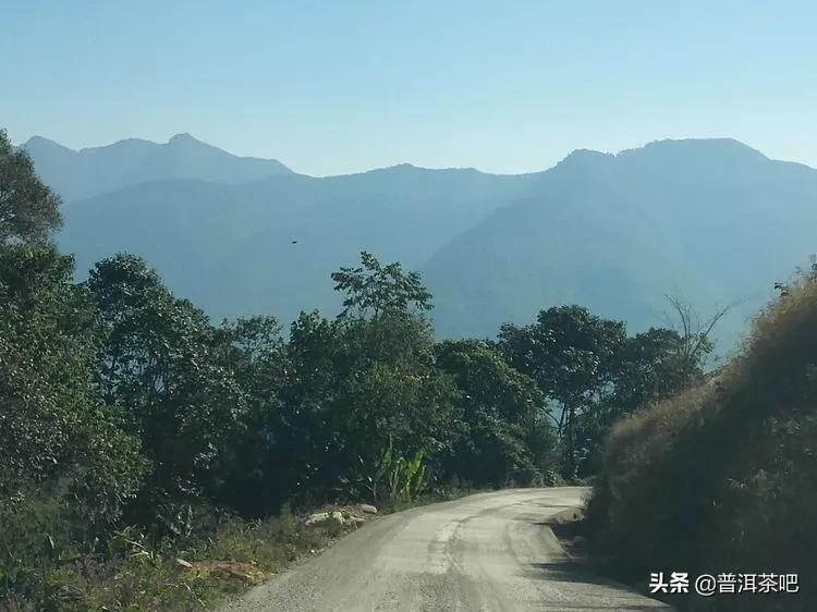 易武古茶山寻茶记一一七村八寨之瑶族丁家寨，麻黑寨，落水洞