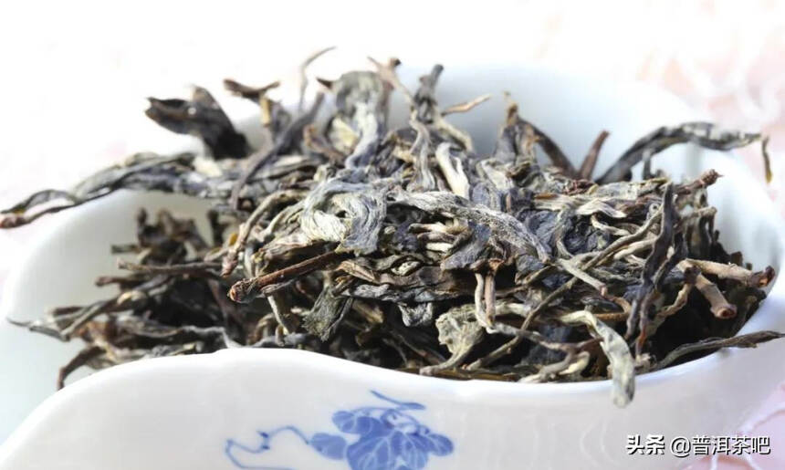 「干货分享」只要醒好普洱茶，泡茶才更香