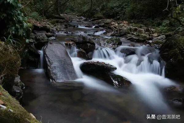 千家寨山高路远，好茶总是藏不住的