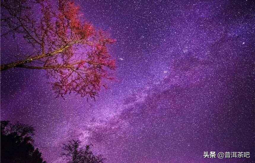 云南大理无量山樱花谷，中国冬天最美的地方，没有之一