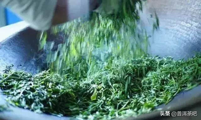 「干货分享」普洱茶加工工艺最重要的一个环节——杀青