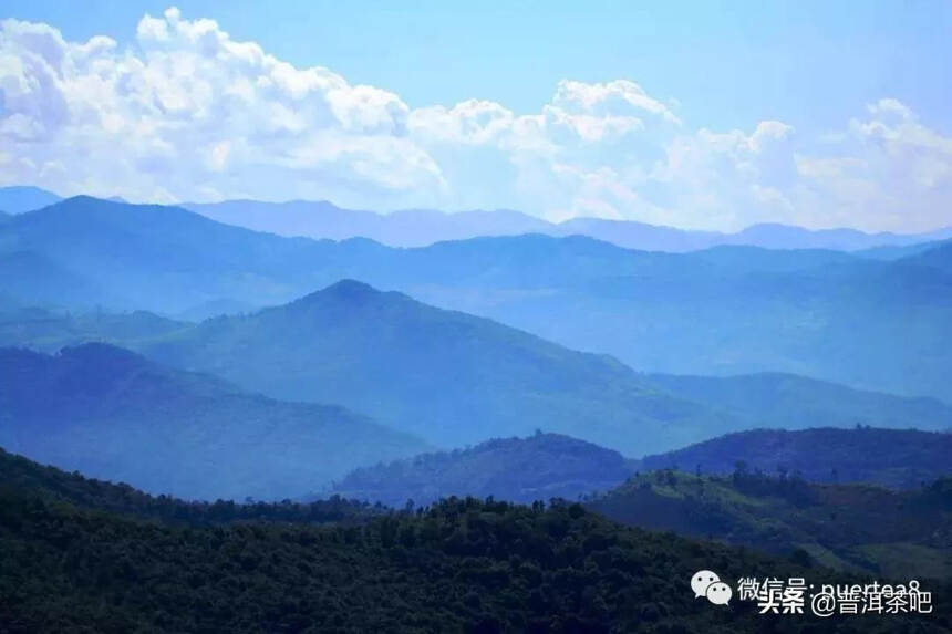 「干货分享」申报世界遗产景迈千年万亩古茶园景美茶香甜