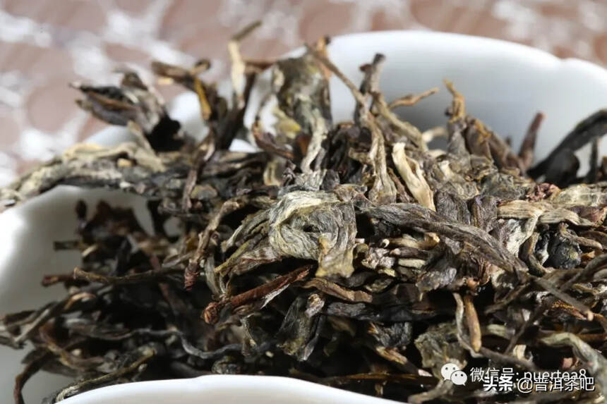 「茶美文」和普洱茶一起，慢慢优雅到老