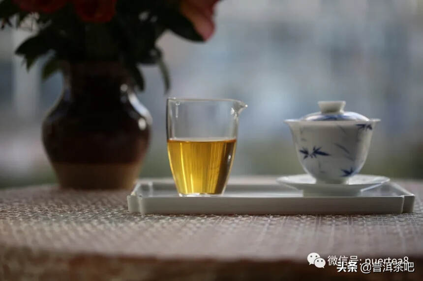 「茶美文」和普洱茶一起，慢慢优雅到老