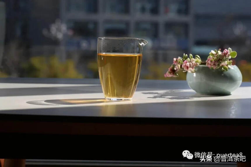 「干货分享」如何分辨普洱茶的真假好坏