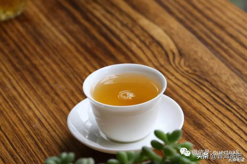 「干货分享」临沧邦东古树茶特点