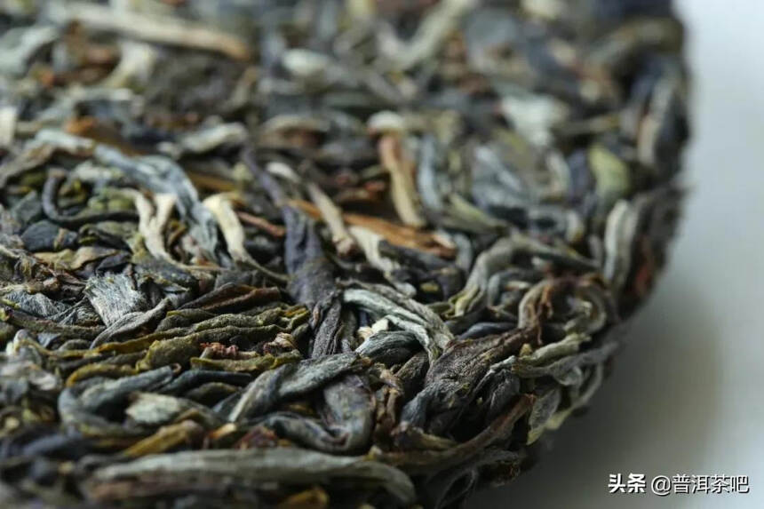 「干货分享」影响普洱茶品质的四大自然因素