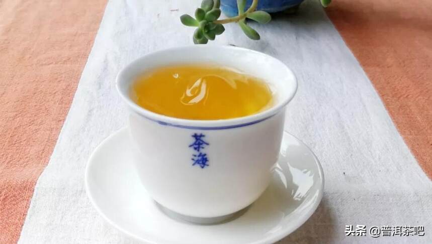 「答疑解惑」​喝茶、品茶、试茶有什么区别？