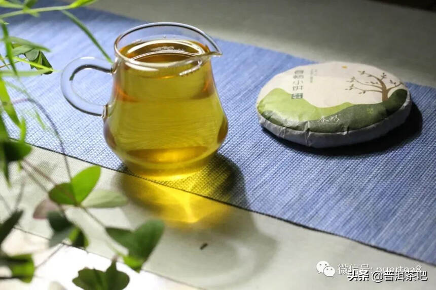 「干货分享」普洱茶边喝边存？新茶有这六个特征后期转化不会差