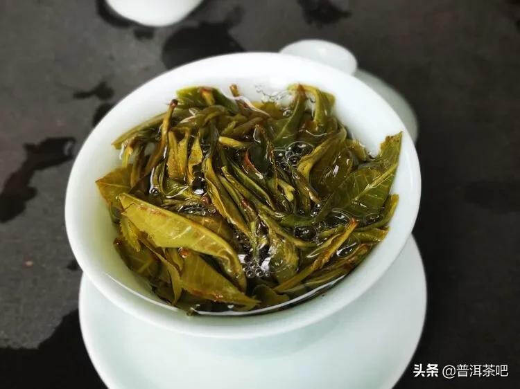 「干货分享」西双版纳普洱茶茶山行