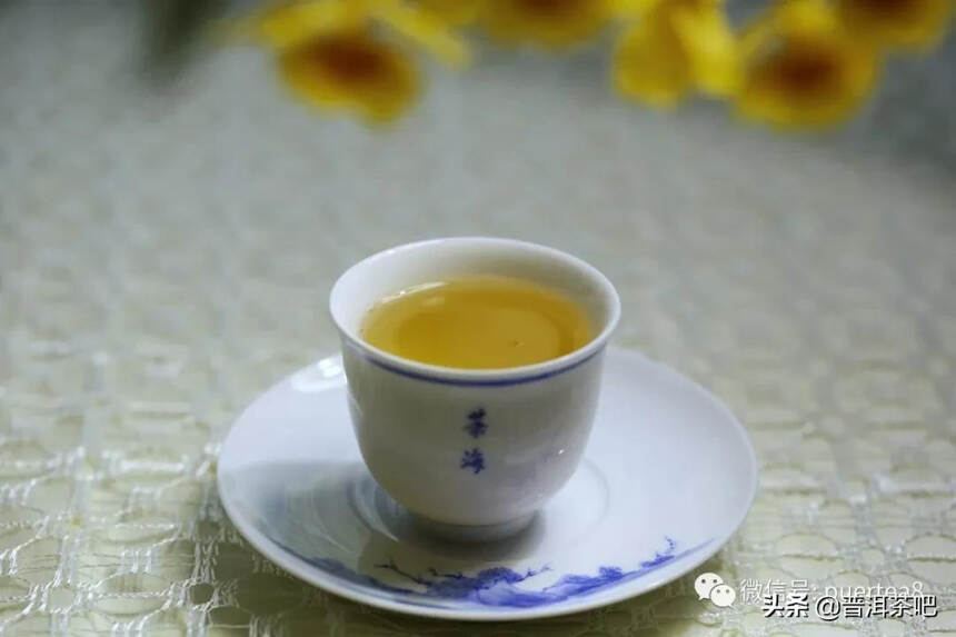 「干货分享」云南六大古茶山游记，还会发光的曼撒古茶山