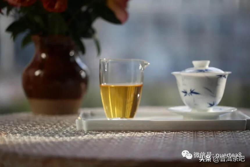 「答疑解惑」古树茶树龄越大，品质就越好吗？