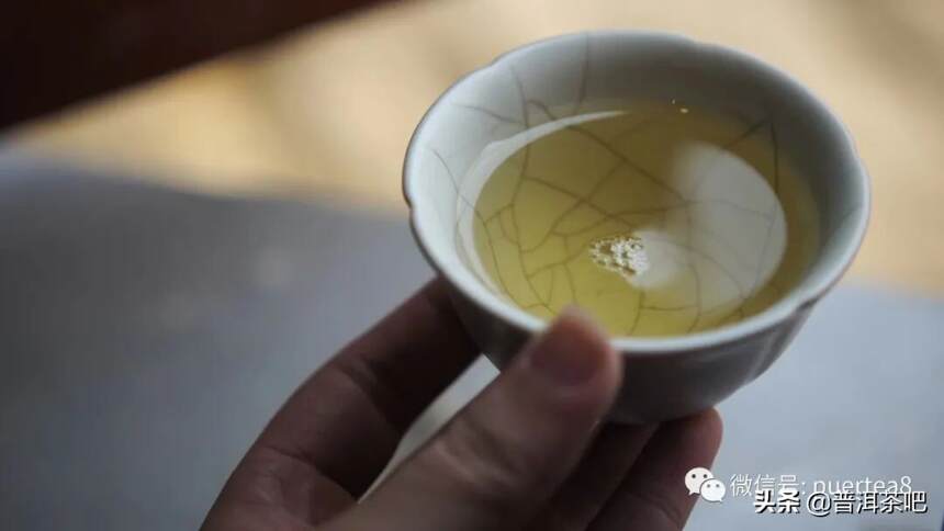 「干货分享」详细解析普洱茶古六大茶山的一山一味