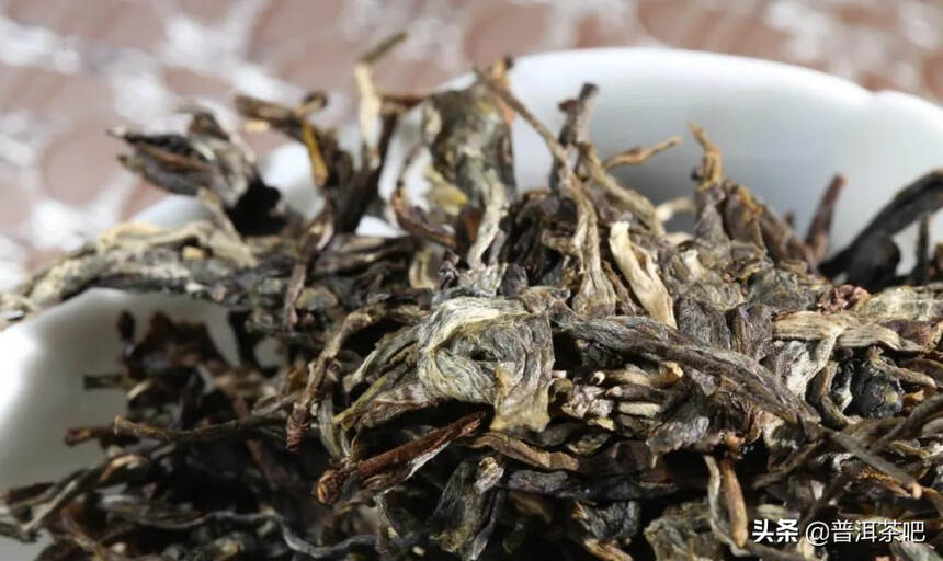 「干货分享」只要醒好普洱茶，泡茶才更香