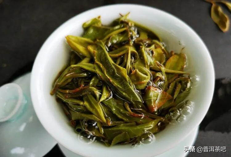 「干货分享」云南普洱茶春茶茶山行（多图欣赏）