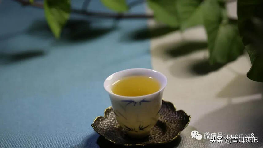 「干货分享」醒茶 | 让茶变好喝的特别技巧