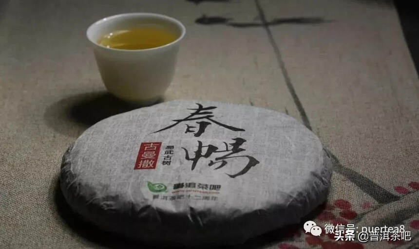 「干货分享」云南六大古茶山游记，还会发光的曼撒古茶山