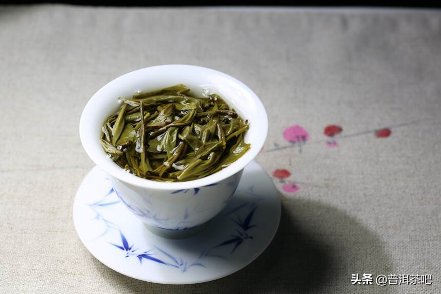 「干货分享」古六大茶山倚邦古树茶及其涩底茶冲泡