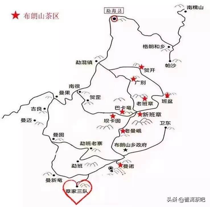 云南台地茶之王——章家三队