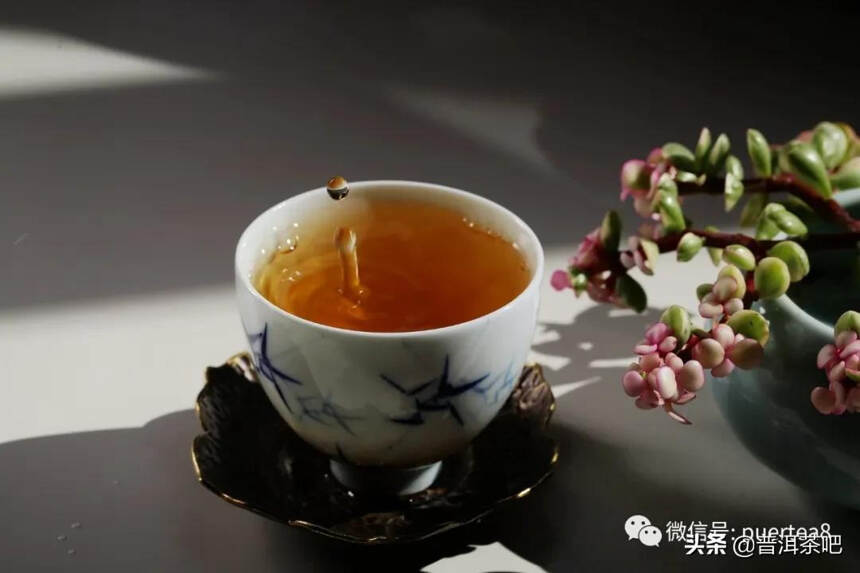 「干货分享」如何分辨普洱茶的真假好坏