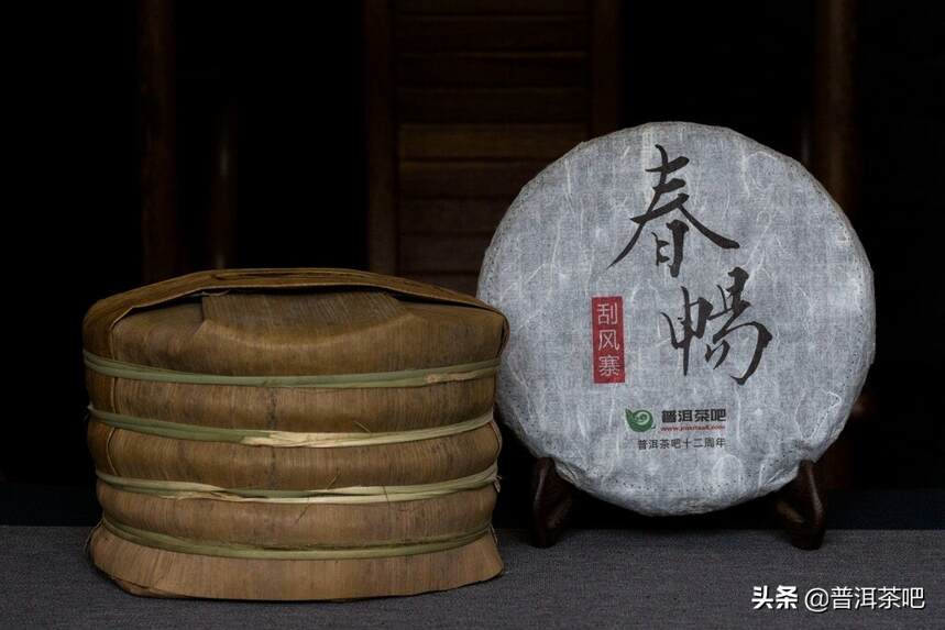 「干货分享」滑竹梁子&刮风寨，哪座茶山更能代表原始森林的味道