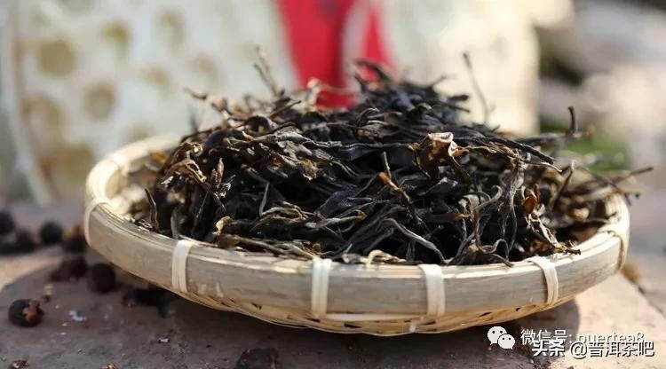 「干货分享」普洱茶采摘鲜叶与时间的标准