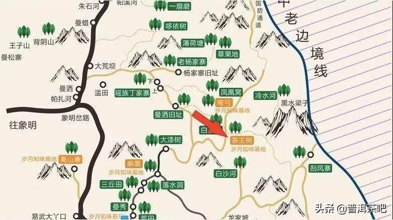 「干货分享」易武干货 | 一张图教你细分易武茶的风格特点