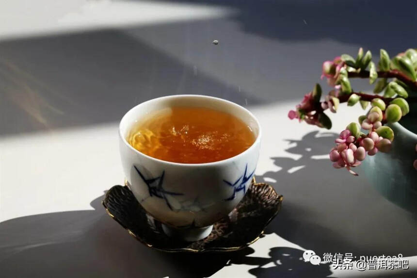 「干货分享」如何分辨普洱茶的真假好坏