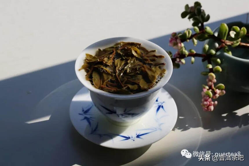 「干货分享」如何分辨普洱茶的真假好坏